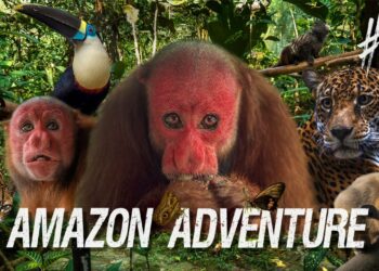 “Kill the Forest, Kill the Wildlife – Kill the Future Itself.”