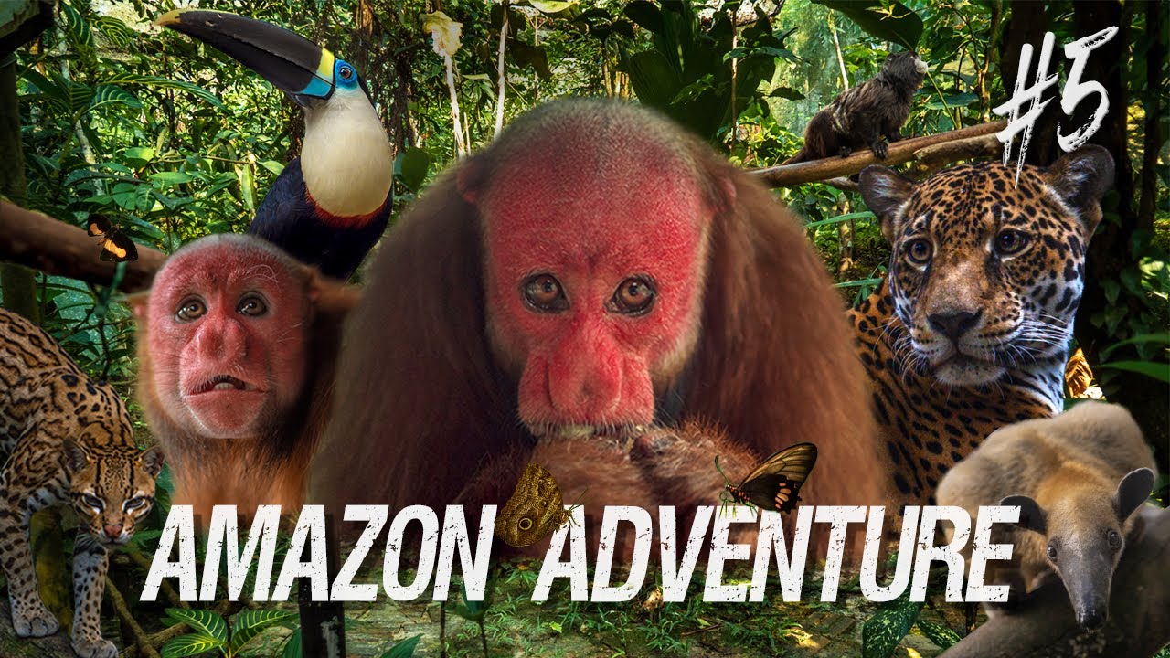 “Kill the Forest, Kill the Wildlife โ Kill the Future Itself.”