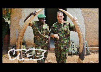 Wildlife Hunting: A Threat to Ecosystems and Solutions for Restoration